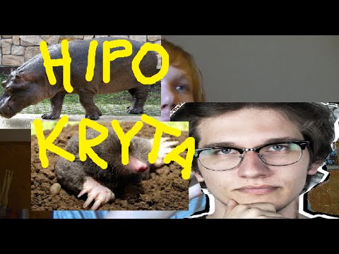 GargamelVlog największy HIPOKRYTA polskiego YT