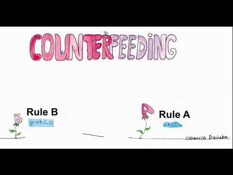 Rule ordering: Counterfeeding illustrated