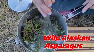 Gathering Fireweed shoots