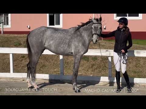 Lote 5: Solaguayre One Touch