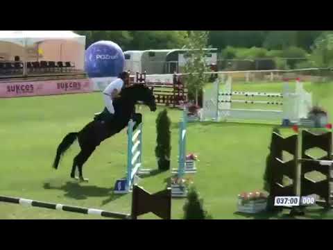 Jamie Gornall & Count Codex Poznan 2018