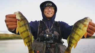 Shore Fishing Yellow Perch on Katepwa