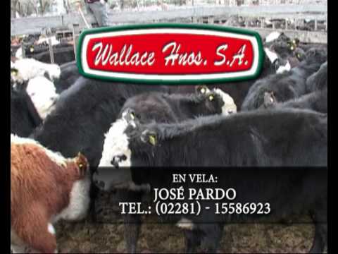 PUBLICIDAD WALLACE HNOS SA