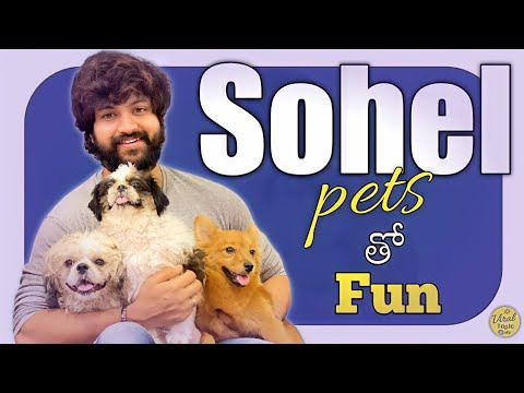 Sohel pets తో Fun #pets #dogs #cats #husky | Lasya talks | Syed Sohel Official | #soheyana #sokhil