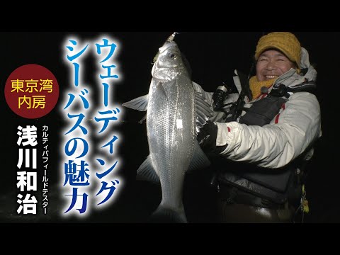 ビーチクラフト デュークについて詳しく解説