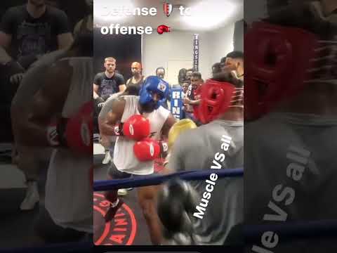 Elite pro sparring ￼