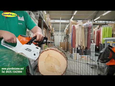 Miniatura Video