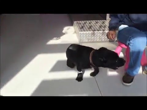 Dolore nel basso addome e parte bassa della schiena nelle donne durante lovulazione Protrusione del disco dei sintomi della colonna cervicale