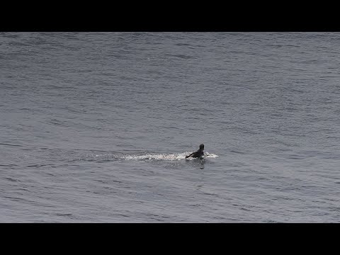 Rare Patch Of Empty Space (Opening Scene) – Uluwatu