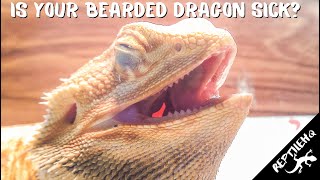Is Your Bearded Dragon Sick? Here Are The Signs Of A Sick Bearded Dragon!