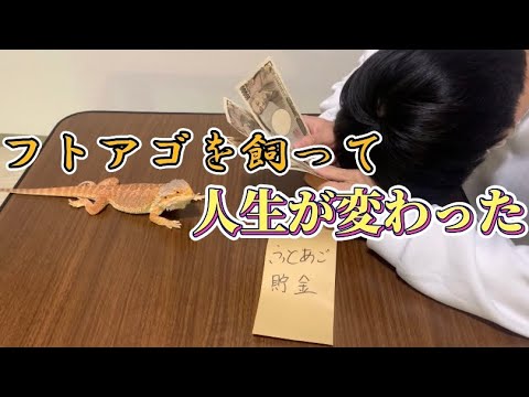 ポゴナ・ヴィティセプス