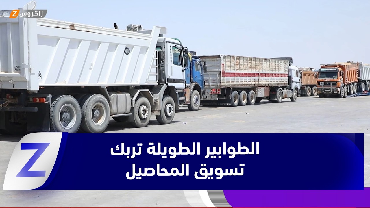 فيديو | المثنى.. الطوابير الطويلة على الصوامع تربك تسويق المحاصيل وتضاعف خسائر المزارعين
