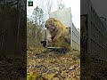 Daily Updates Of Discovery Channel