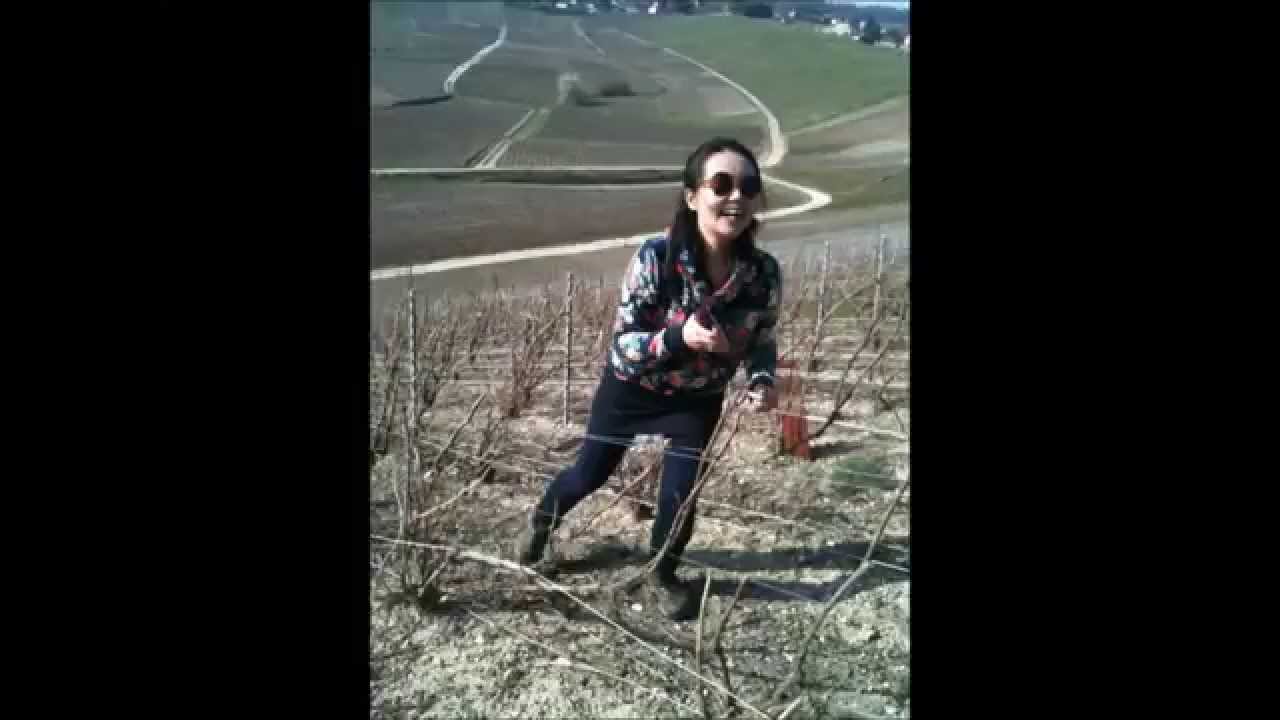 Sébastien, organizer of Champagne Tours
