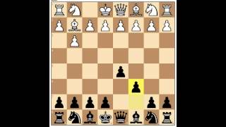 Chess Lesson : openings (The Polish opening 1.b4)