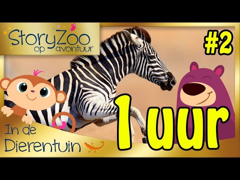 MEGA SPECIAL #2 🤩 | StoryZoo op Avontuur | 1 Uur Compilatie!