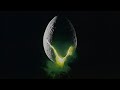 Alien (1979) - Trailer HD 1080p