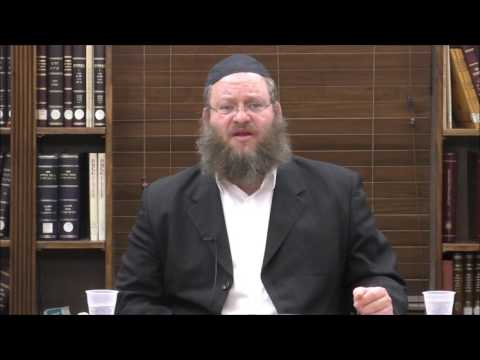 Tanya Chapter 27 Part 4, Chapter 28 Part 1 - Rabbi Naftali Silberberg