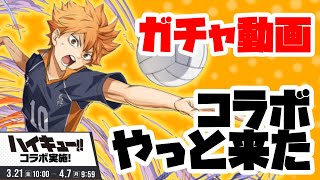 【パズドラ】ハイキューコラボガチャ回してきた！！