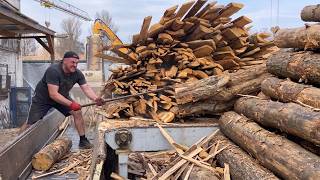 Oddly Satisfying Timber Destruction | Amazing Speed