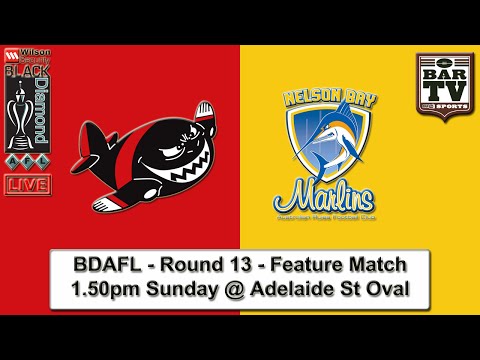 2015 BDAFL Round 13 - Feature Match - Killarney Vale v Nelson Bay