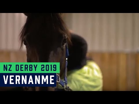 NZ Derby Preview 2019 - Vernanme