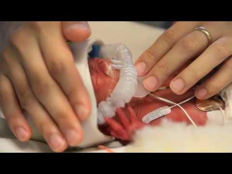 download lagu mp3 mp4 11oz In Grams, download lagu 11oz In Grams gratis, unduh video klip 11oz In Grams