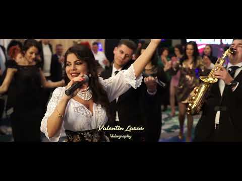 Violeta Constantin | Live | Formatia Premier Orchestra | 2024 | 1080p