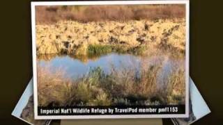 preview picture of video 'Near the Mexican border Pmf1153's photos around Yuma, United States (sunridge rv park yuma az)'