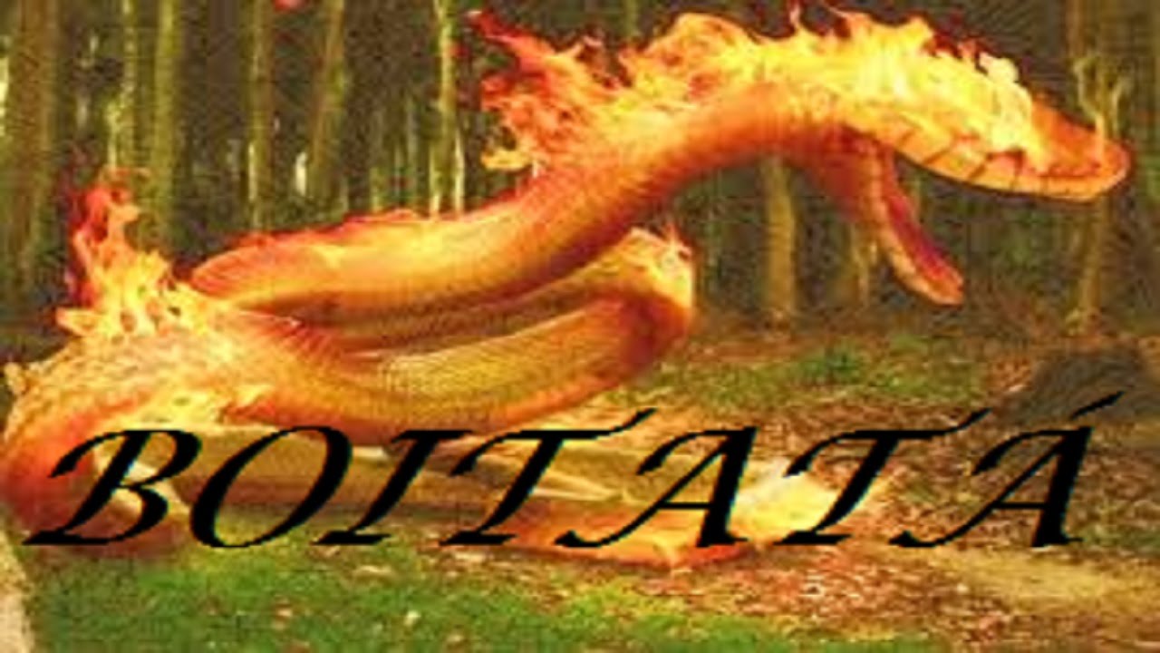 A Lenda do BOITATÁ a Cobra de Fogo  -- História do Folclore Brasileiro