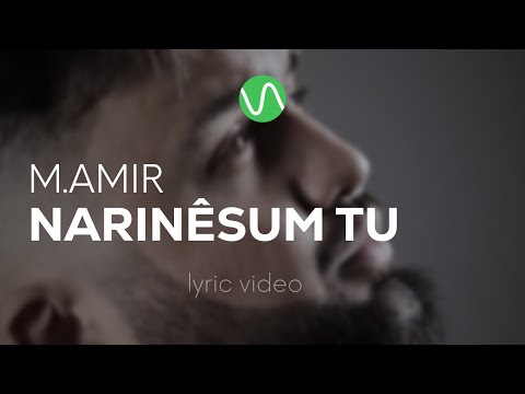M.AMIR — Narinesum tu / Lyric Video / pomerê sozen