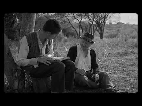 Morometii 2 - De ce citesti?