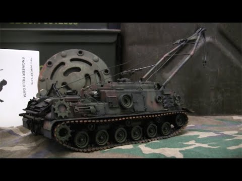 CBD for Cats Video Preview