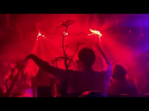 DJ That Kid Chris @ Treehouse, Miami