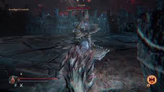 Lords Of The Fallen - Warden boss fight (Ancient Labyrinth DLC)