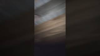 Download lagu Suara inap top mp3