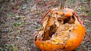 The Smashing Pumpkins - The Imploding Voice