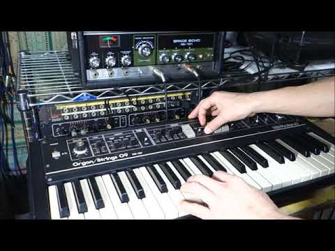 Roland RS-09 Organ/Strings Synthesizer Test with RE-101 Space Echo