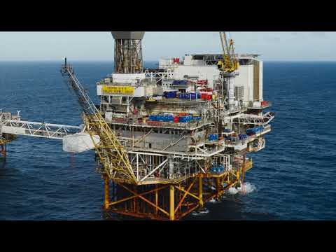 1978 - 2018 | A Timeline of a Lifetime - the movie