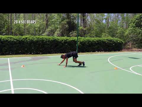 The ZUU BODYWEIGHT TRAINING SYSTEM Workout Wednesday 10