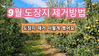 (9월) 마지막 도장지 제거작업