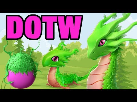 ENVY DRAGON Next DOTW + New Weekend Clan Race BEGINS! - DML #843