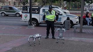 Venezuela setzt Roboterhunde für Patrouillen in Caracas ein