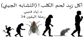 صورة رحلة اليقين ٣٤: أكل زيد لحم الكلب - تشابه الجينات دليل لنظرية التطور أم عليها؟