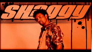 Shaggy - Move Hype