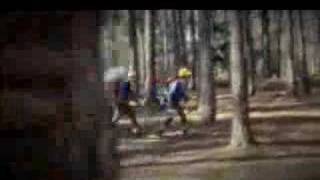 The Automatic - monster