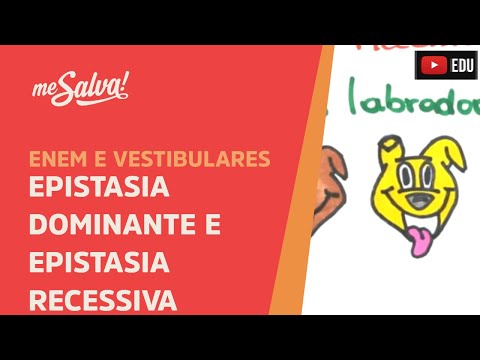 Me Salva! GEN25 - Genética - Epistasia dominante e epistasia recessiva