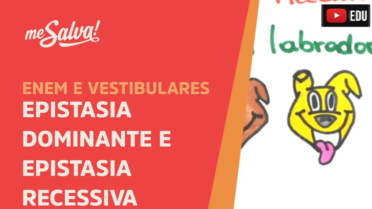 Me Salva! GEN25 - Genética - Epistasia dominante e epistasia recessiva