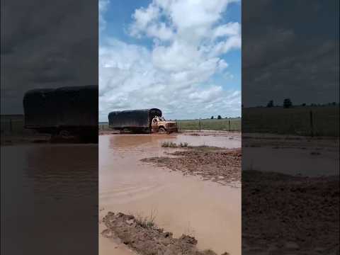 Regresando de Puerto Carreño Vichada 🇨🇴