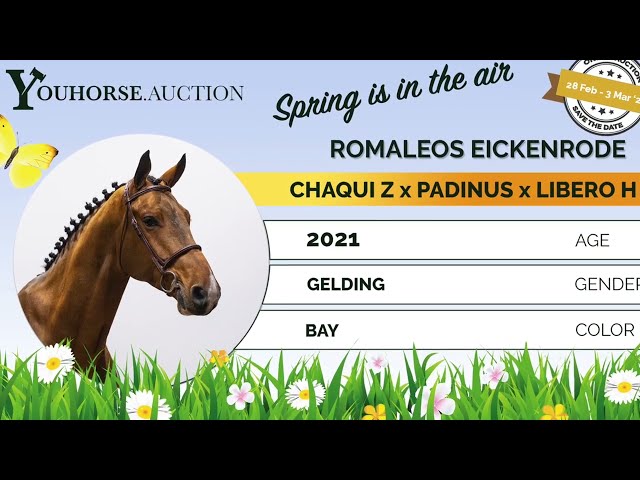 Romaleos Eickenrode homevideo